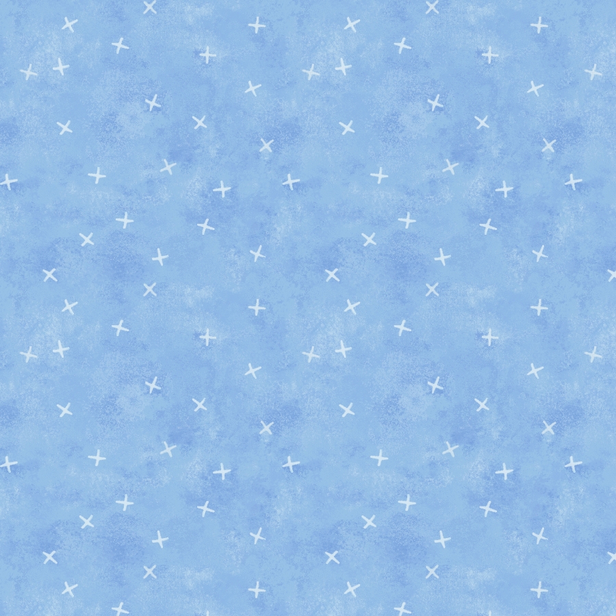 CSHO 6452 BLUEBERRY